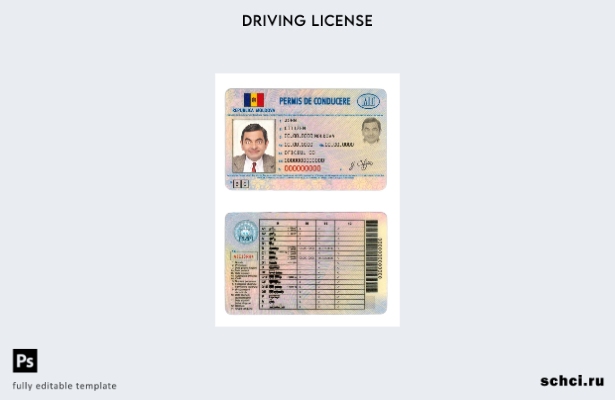 цифровая загрузка шаблона DL для Молдовы